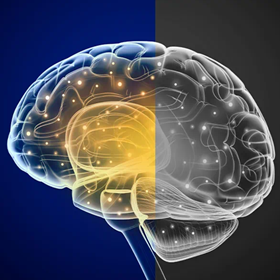 【大连助听器总部】本月28号新品促销日0411-84338707  